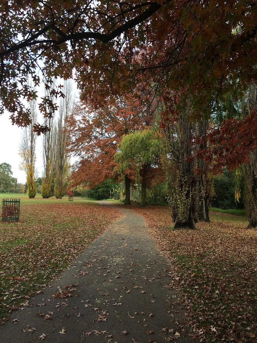 Rologas Fields during Autumn