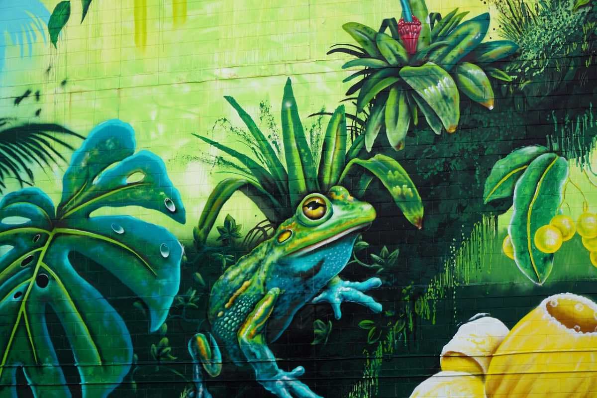 Darwin travel image