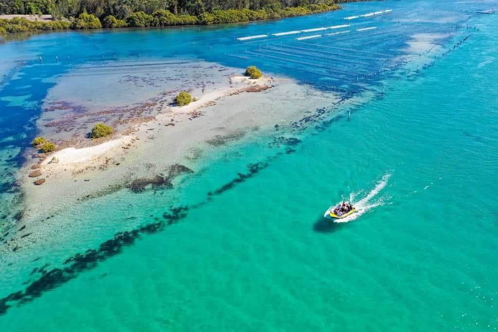 Forster