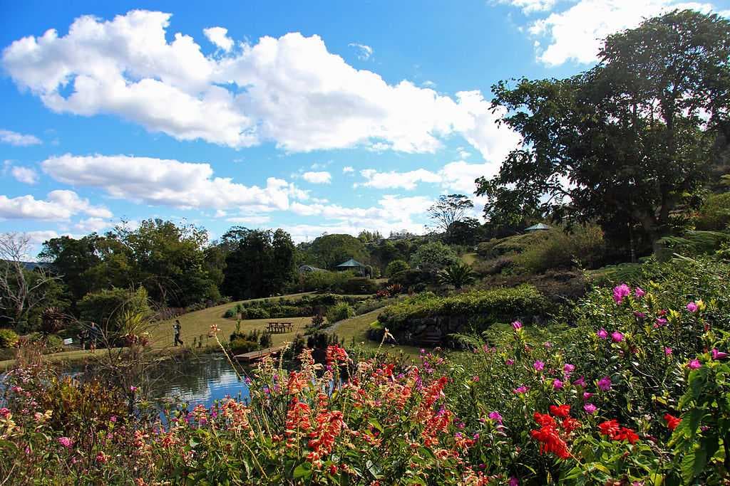 Maleny Botanic Gardens
