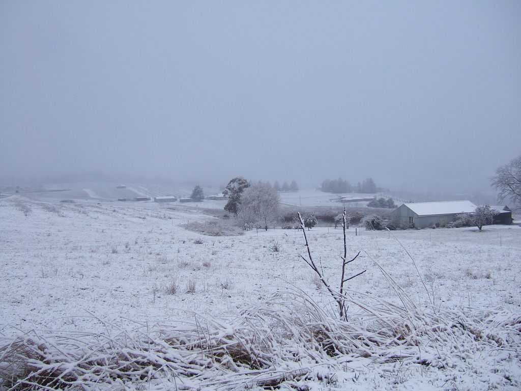Snow-covered fields in Orange during an early snowfall