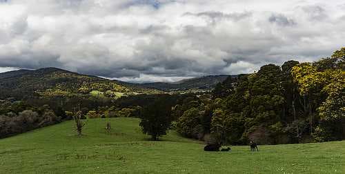 Tasmania