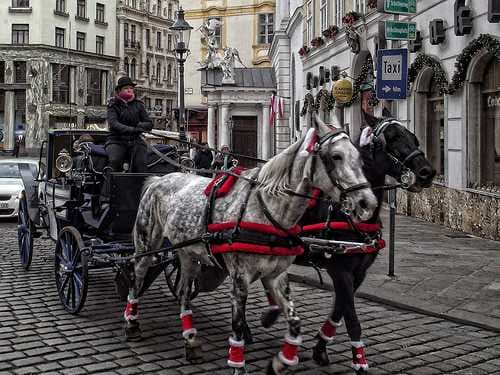 Vienna , Austria