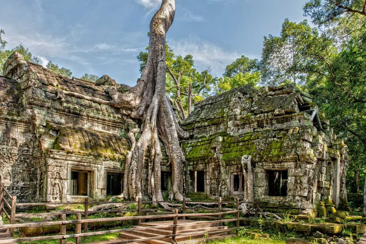 Ta Prohm Temple, Tomb Raider Temple