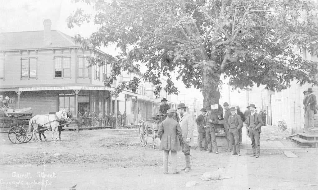View of Gastown from Carrall and Water Street in 1886. Gastown was a settlement that quickly became a centre for trade and commerce on Burrard Inlet.