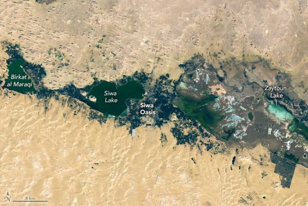 Siwa Oasis from space. January 23, 2023