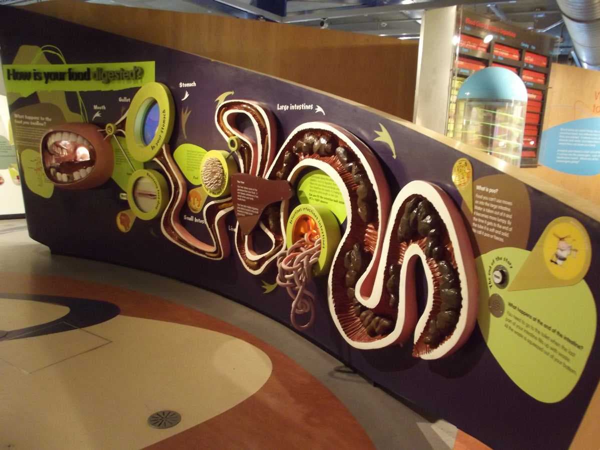 Things About Me, Thinktank Birmingham Science Museum