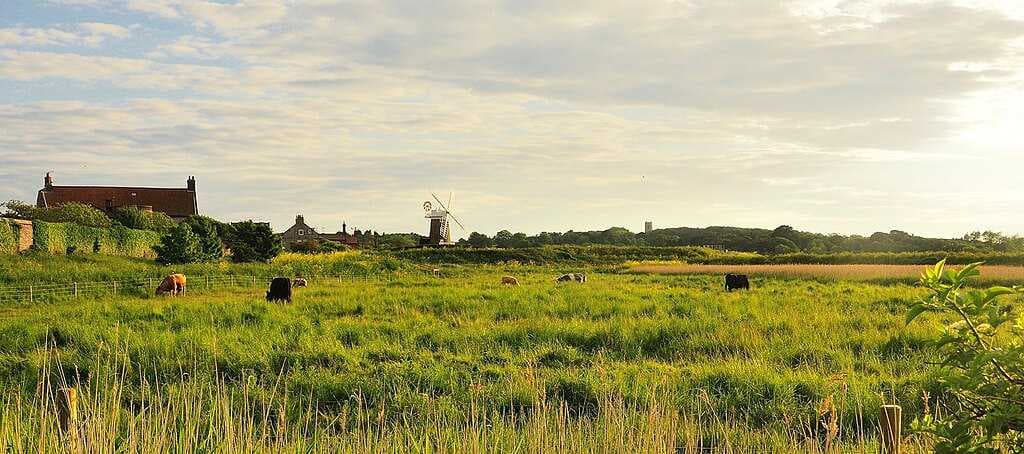 Norfolk