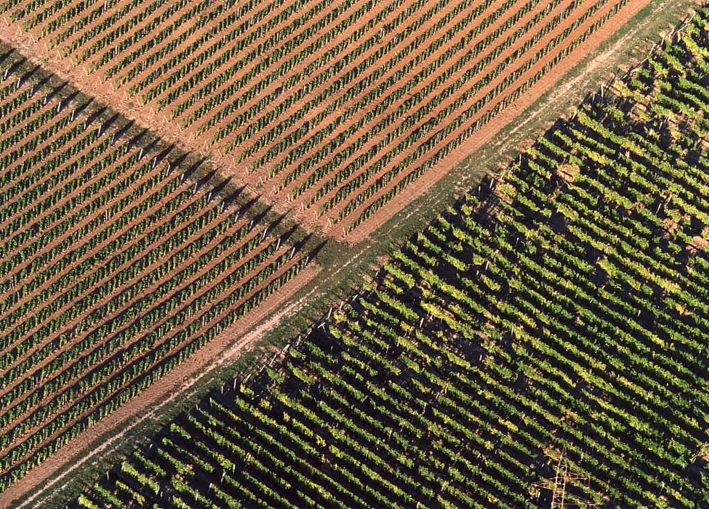 Tokaj travel image