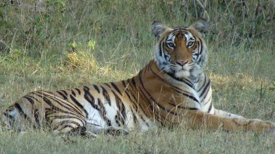 Achanakmar Wildlife Sanctuary