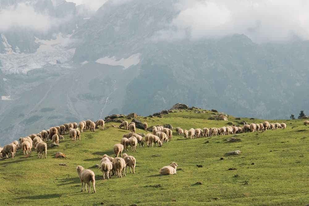 Jammu & Kashmir travel image