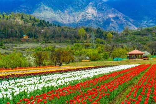 Jammu & Kashmir travel image