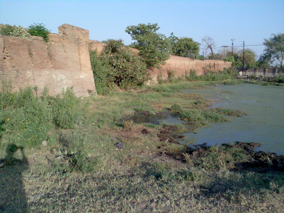 Picture of Jhelum View Park