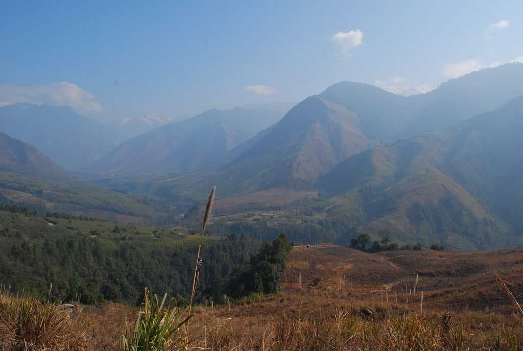 Anini