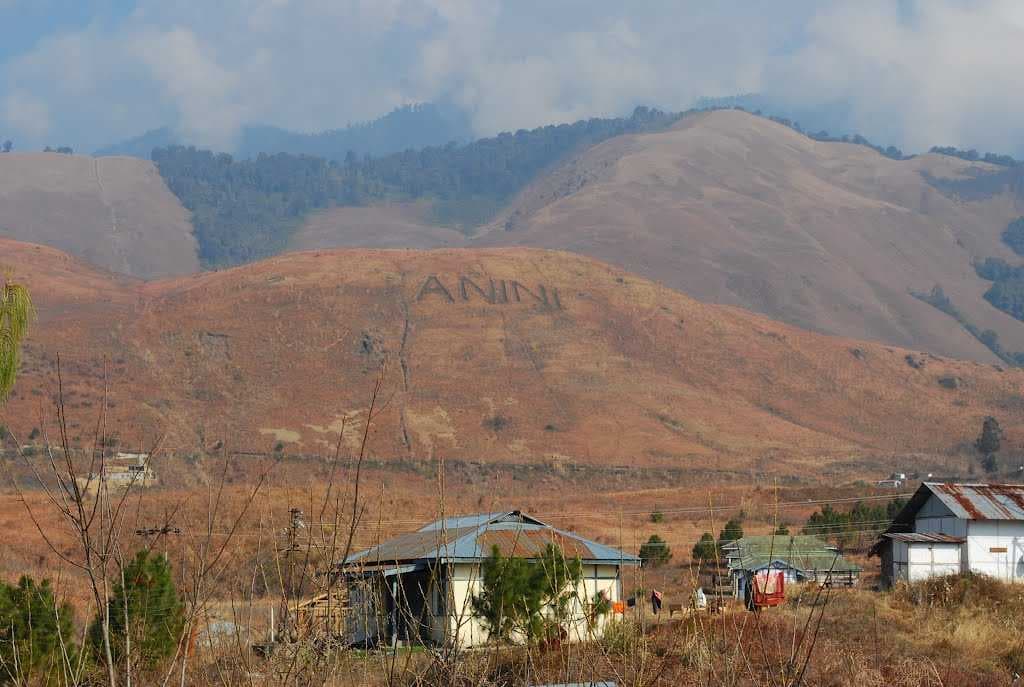 Anini