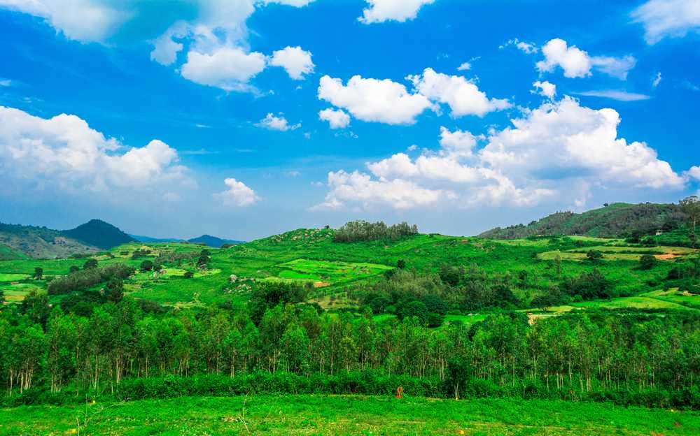 Mystical View of Araku Valley