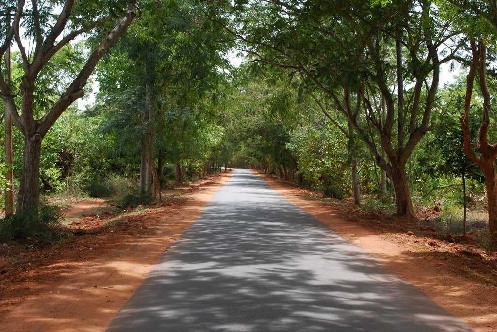 Auroville Main Road