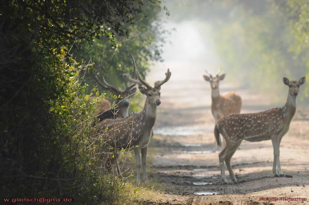 Bharatpur