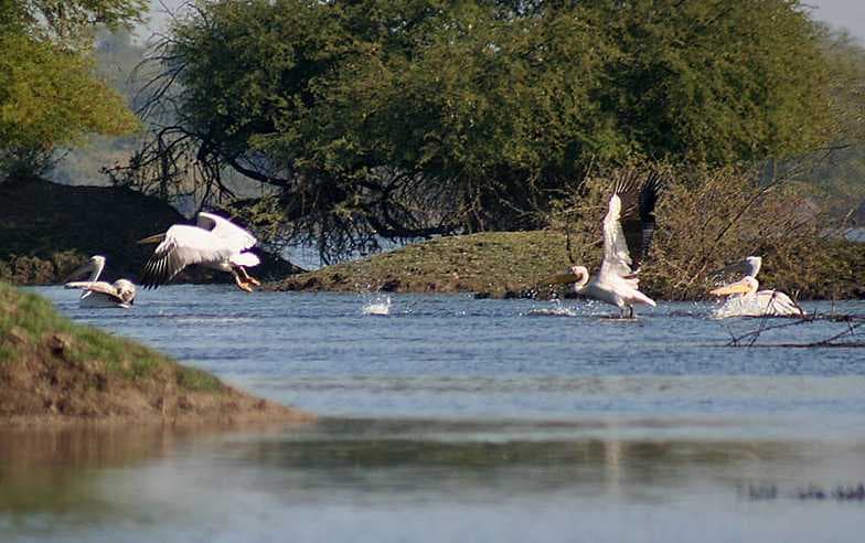 Bharatpur travel image