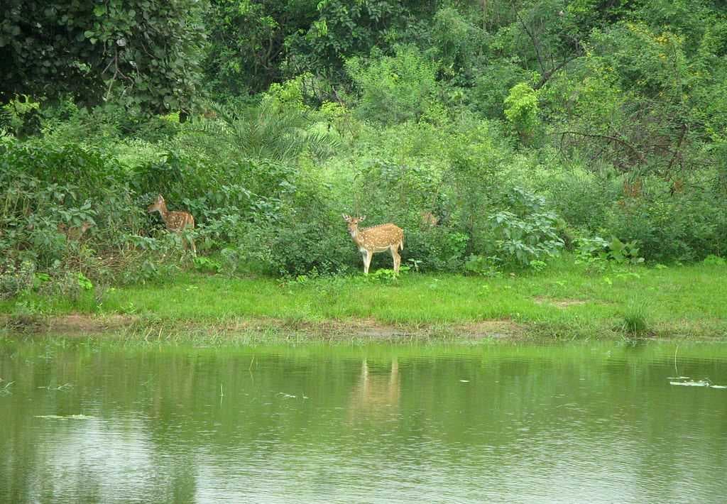 Bhopal travel image