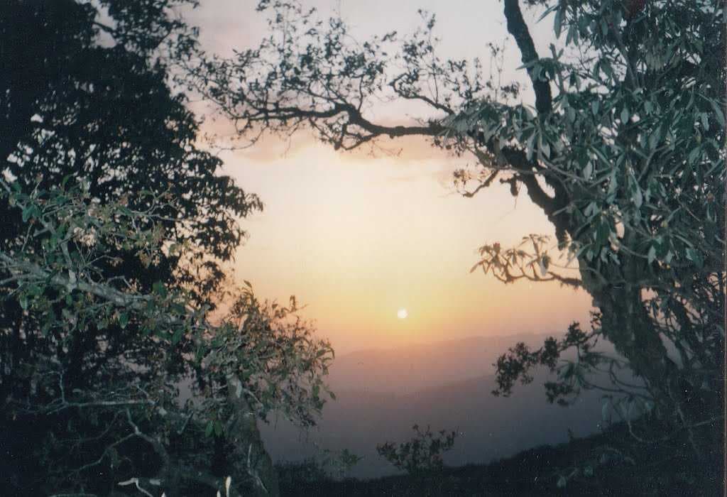 Binsar