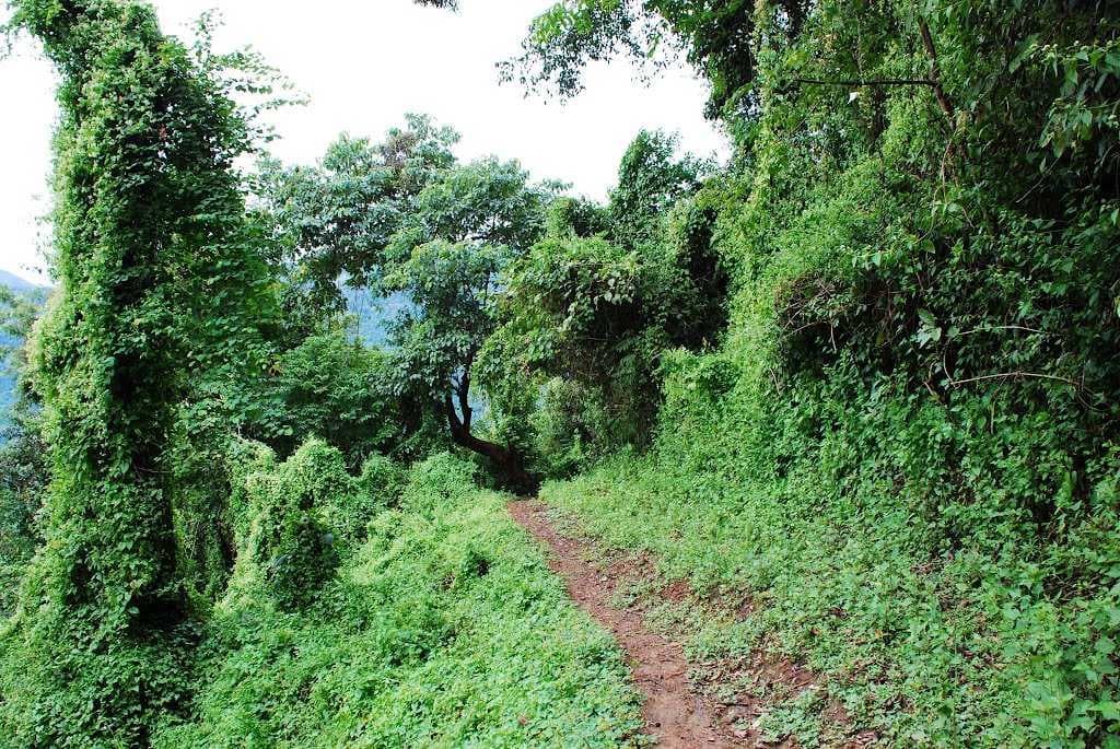 Lengteng Wildlife Sanctuary