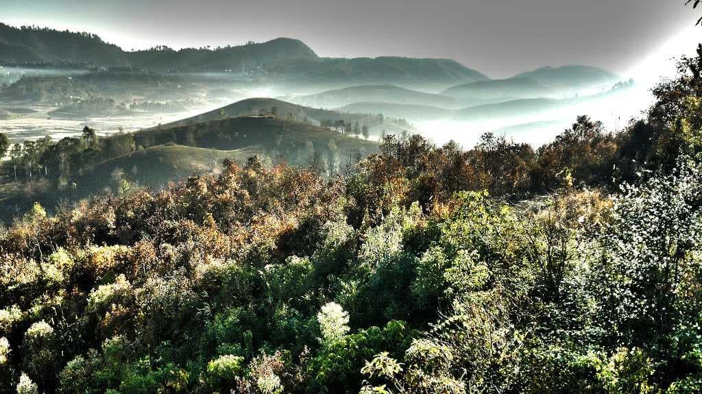 Morning Mist... Champhai, Mizoram.