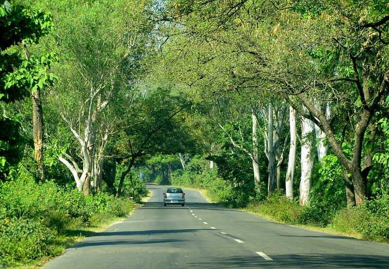 Dehradun travel image
