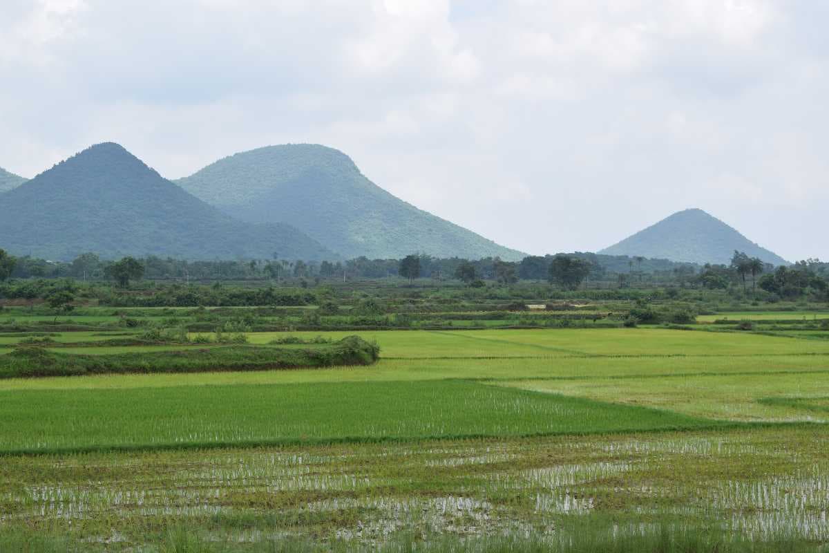 Splendid Scenery of Deoghar Village Side
