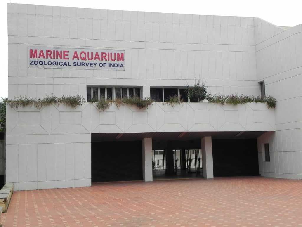 Marine Station/Aquarium of Zoological Survey of India