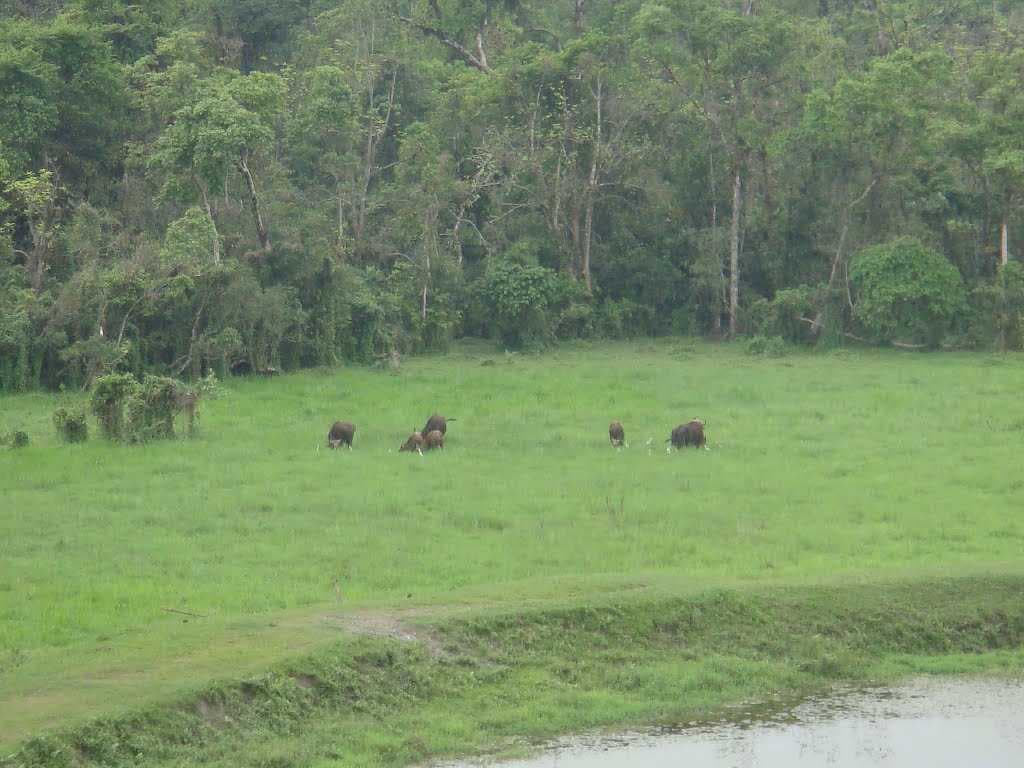 Chapramari Wildlife Sanctuary