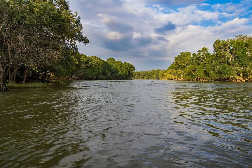 Kaveri by Dubare Forest