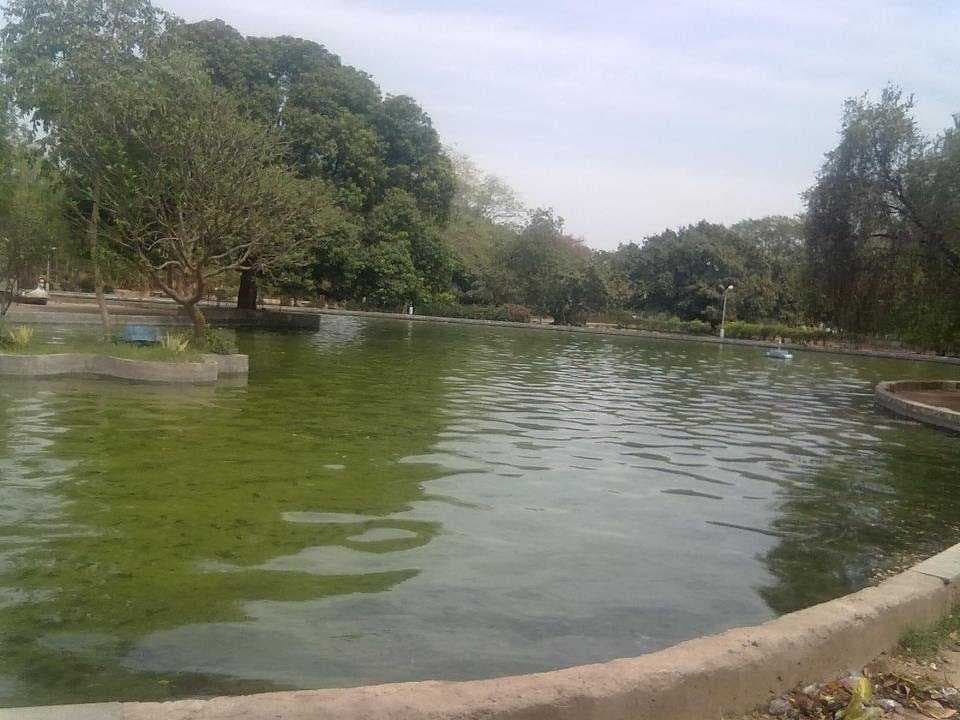 Children's Park
