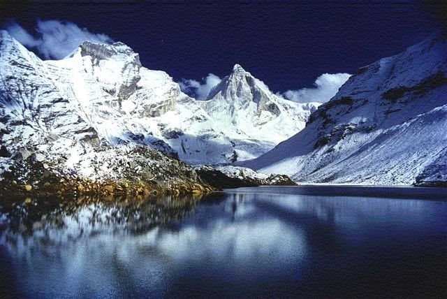 Kedar Tal