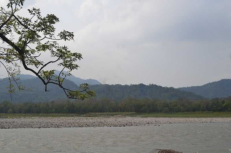 River Inside Manas National Park