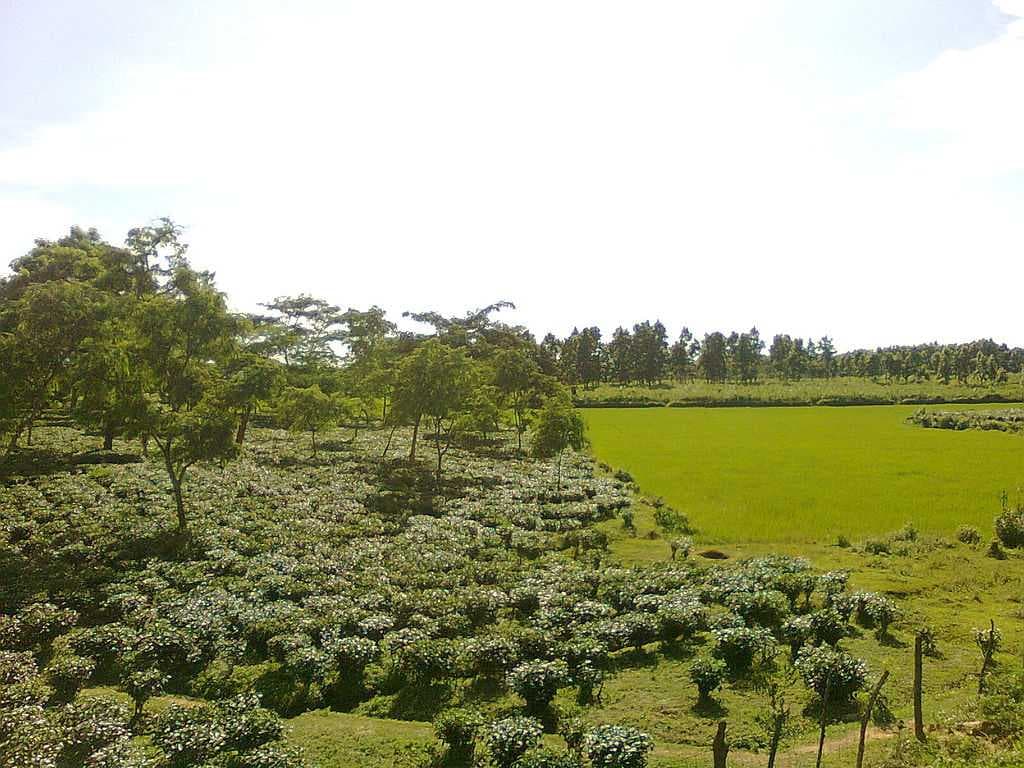 Goalpara travel image