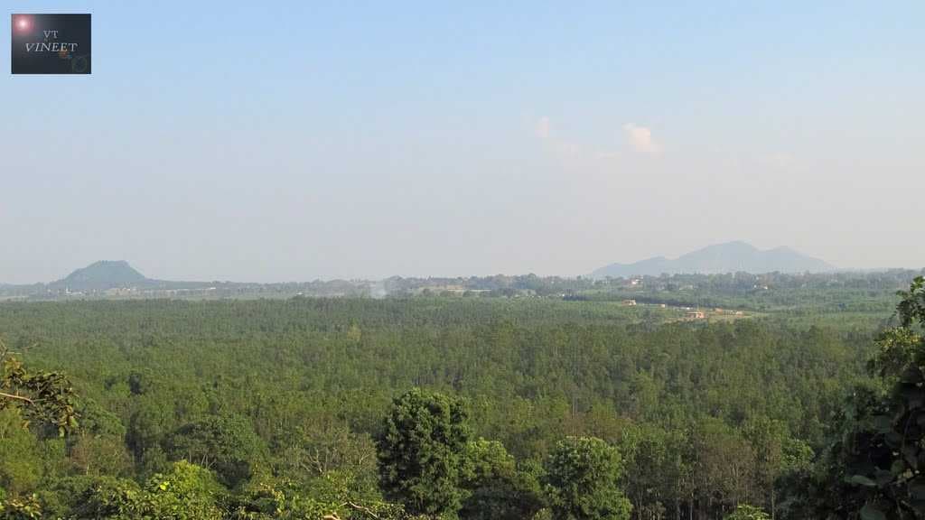 Canary hills