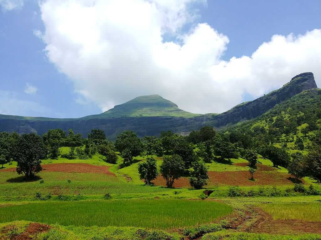 Hedvi travel image