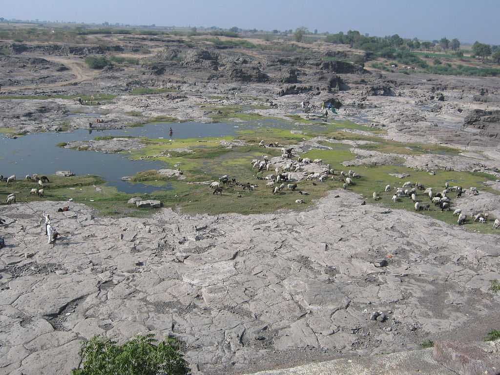 Hedvi travel image