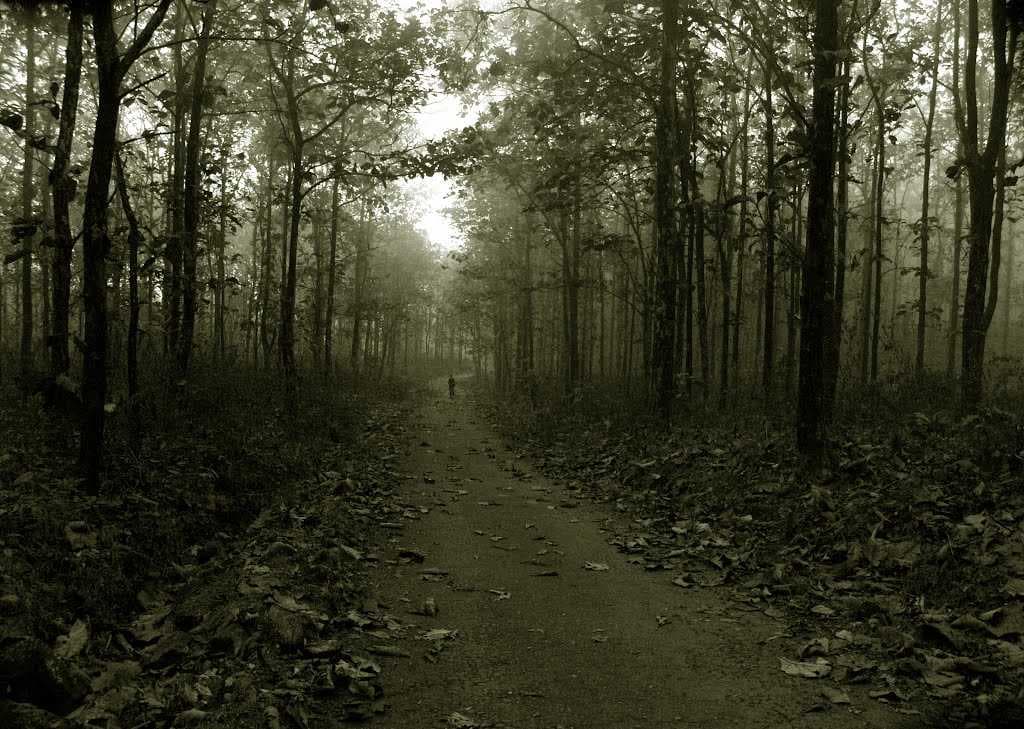 Jalpaiguri