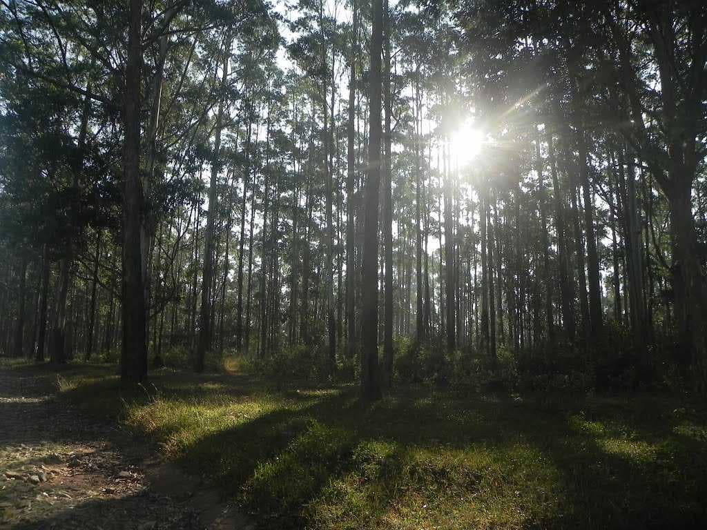 Muthanga Wildlife Sanctuary