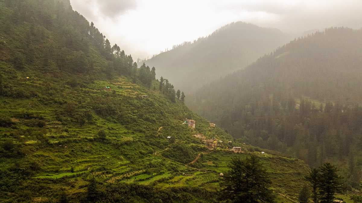 Tosh travel image