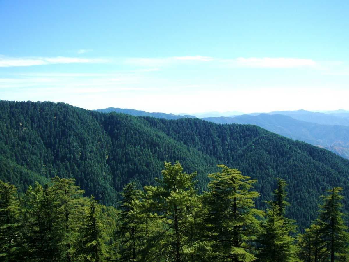 Kufri travel image