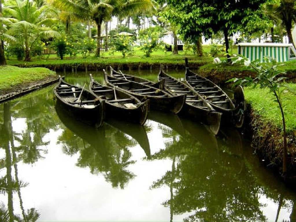 Traditional boats moored at a lagoon