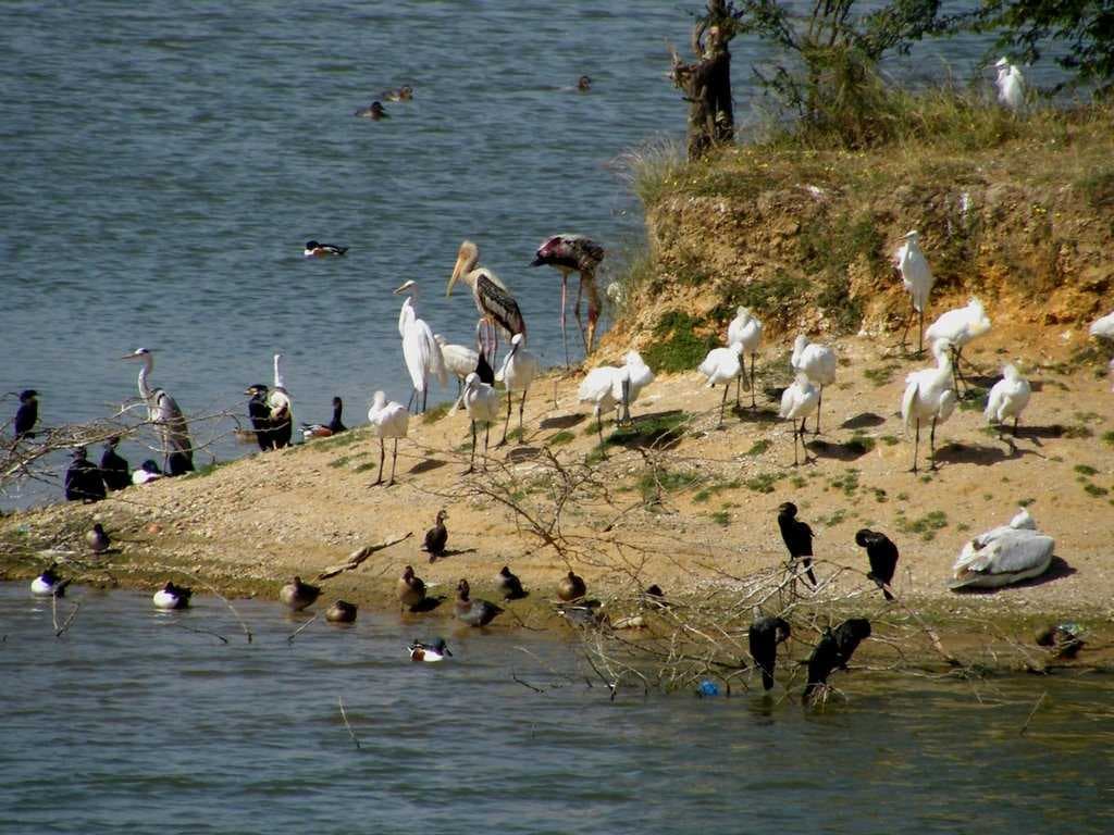 Kandla Port and other ports