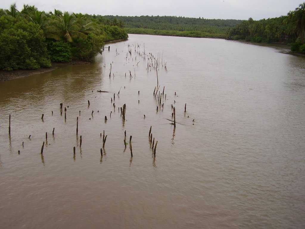 Kadalundi Bird Sanctuary