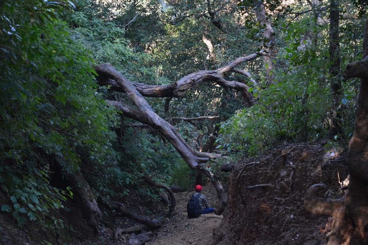 Harischandraghat Trek Route, Malshej Ghat
