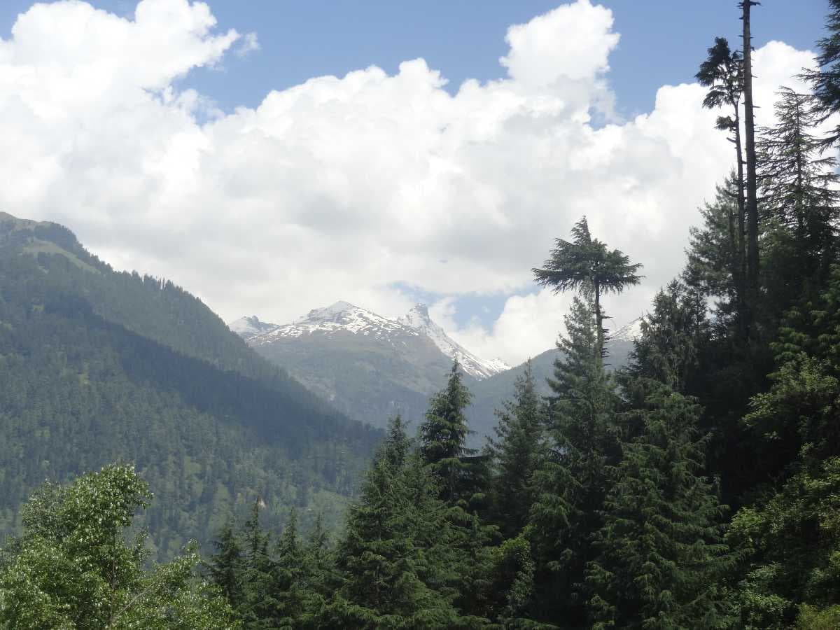 Beautiful Greenery of Manali