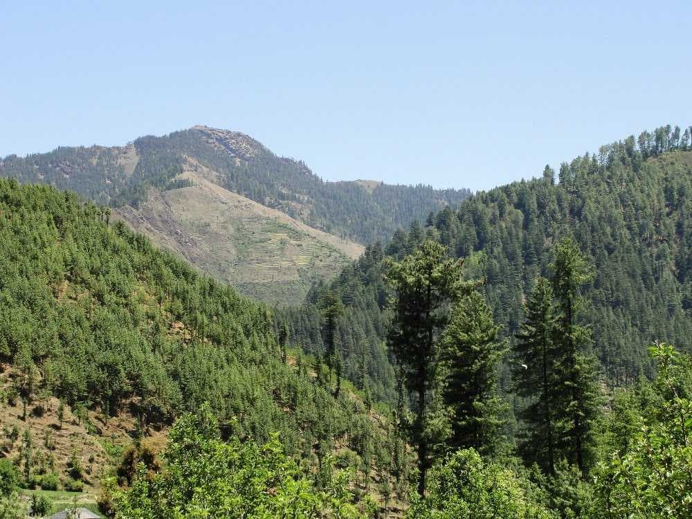 Mandi