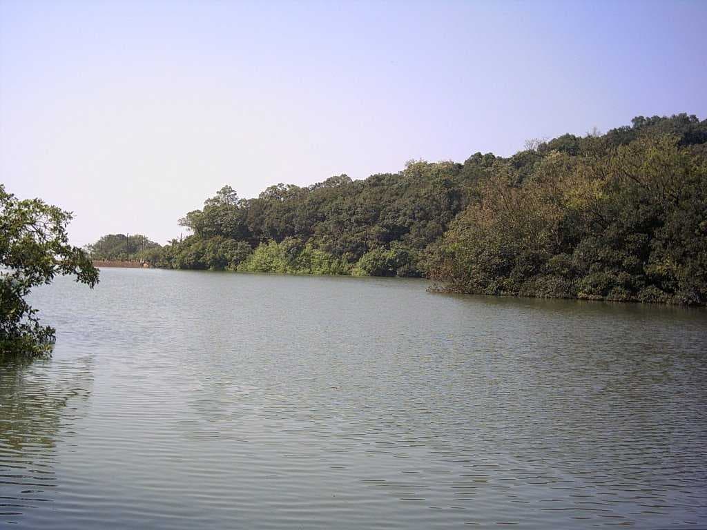 Charlotte lake
